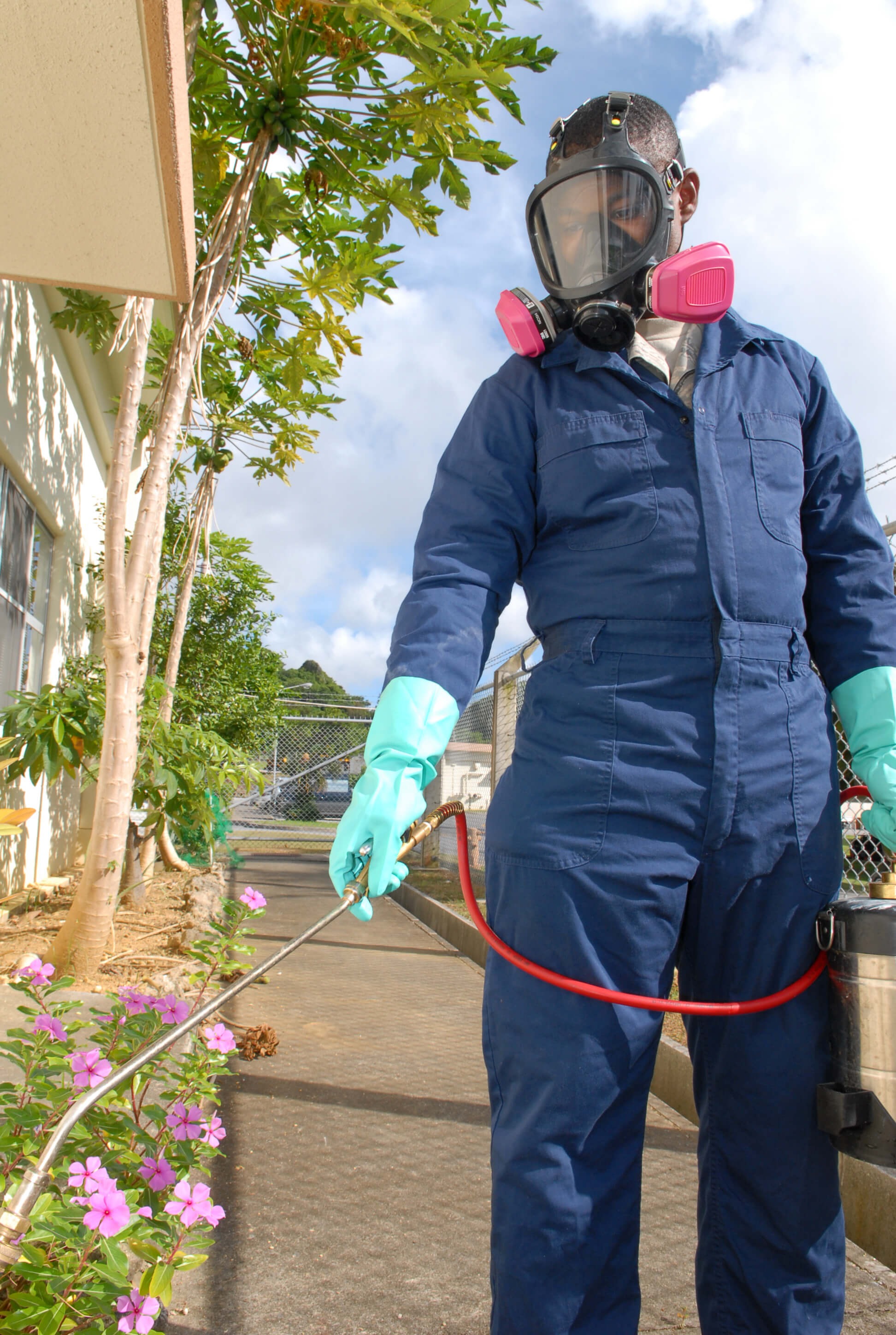 Affordable Pest control Services Bakersfield