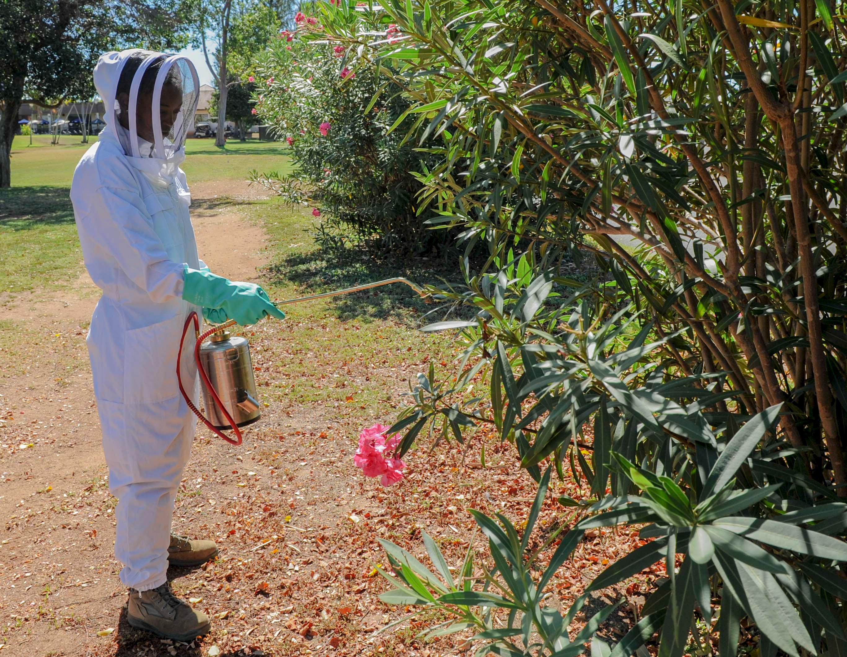 Pest control Estimates Bakersfield