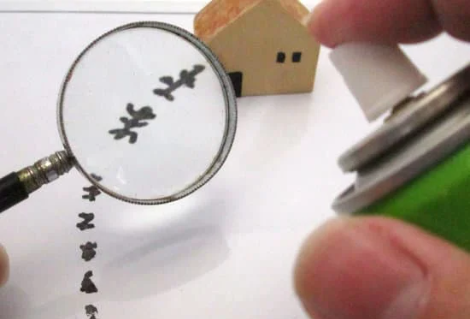 Bakersfield termites pest control cost